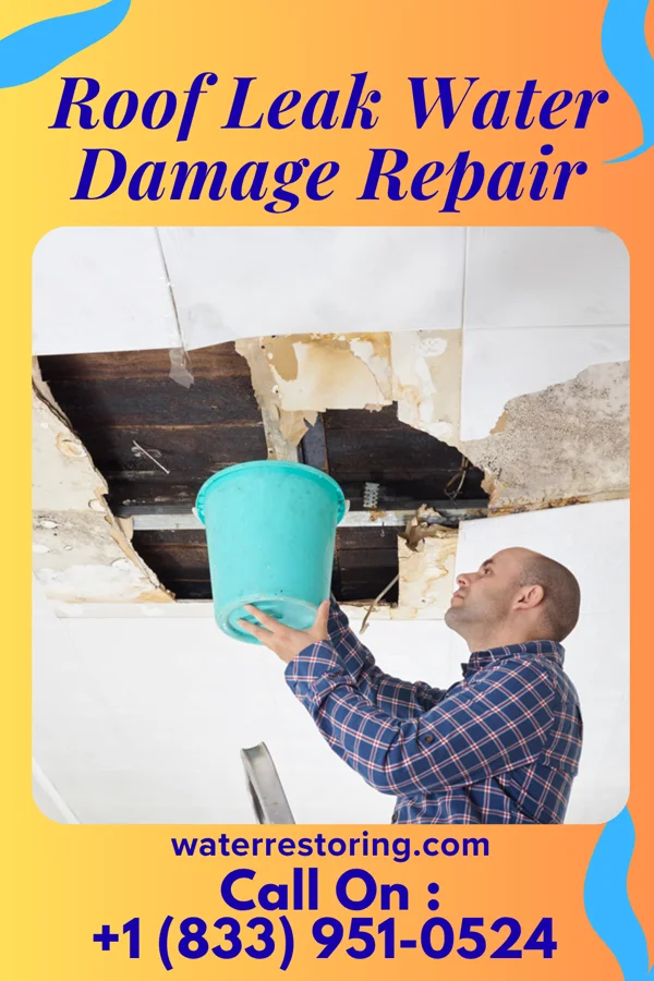 Roof Leak Water Damage Repair in Harlem, MT