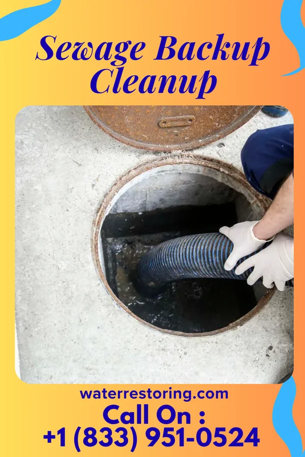 Sewage Backup Cleanup in Harlem, MT